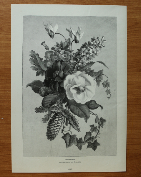 Wood Engraving Winterflowers 1881 after original drawing by Georg Hirt Art Artist